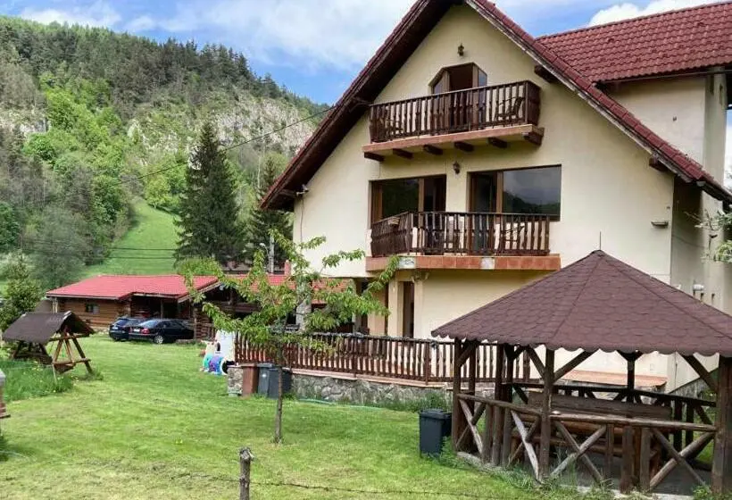 ویلای 1 خوابه, Vila Ianis Bran