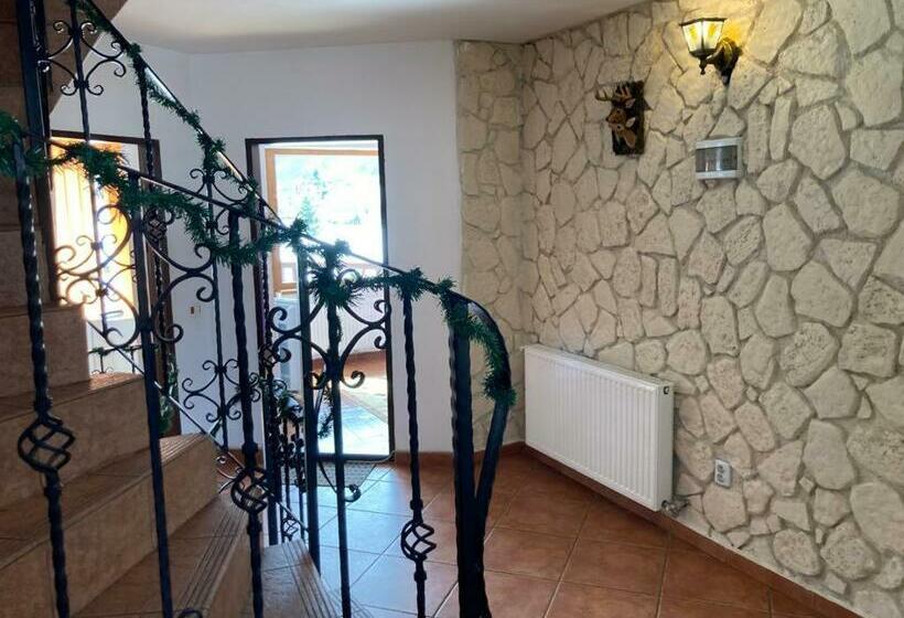 Vila 1 Dormitori, Vila Ianis Bran