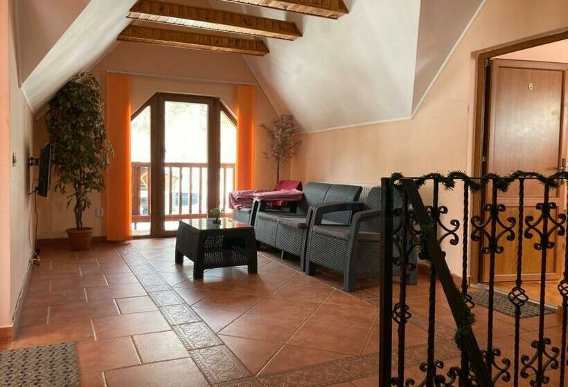 ‫فيلا غرفة نوم واحدة, Vila Ianis Bran