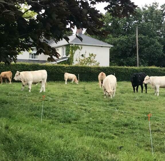 חדר סטנדרט, Blackrath Farmhouse