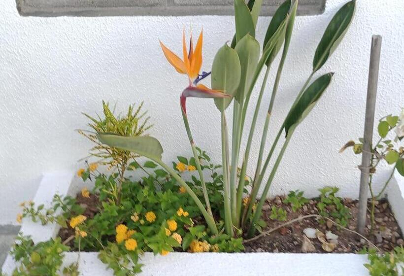 샬레, Chalés Recanto Das Flores Rn
