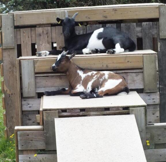 标准间, Chambres D Hôtes Les Hauts Vents