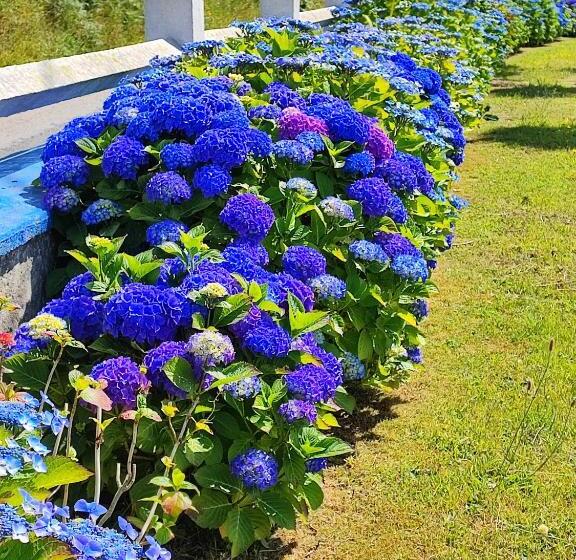 带海景的标准房, Chambres D Hôtes Les Hauts Vents