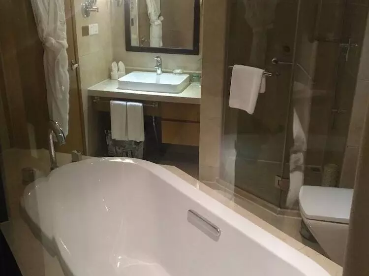 スーペリアールーム, Landison Airport Hotel Hangzhou