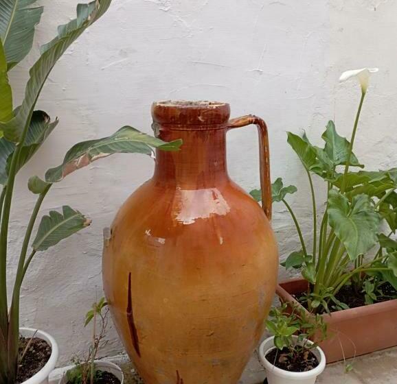 חדר סטנדרט, Agrimi B&b