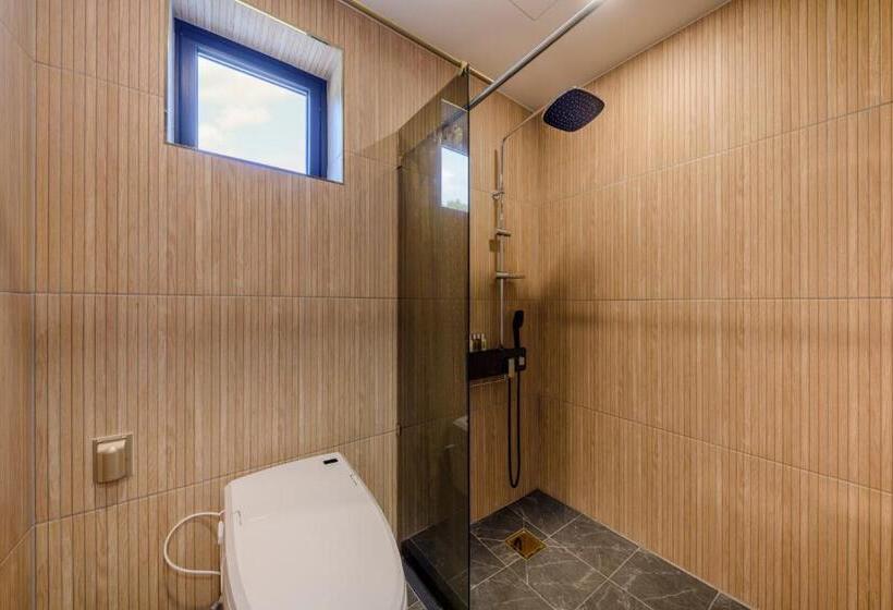 סטודיו דלוקס, Harusida