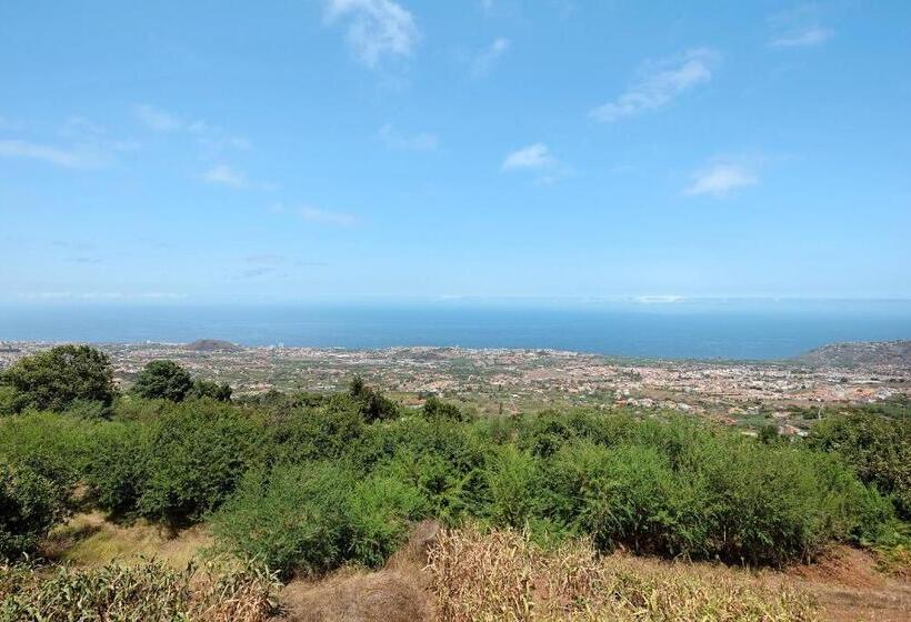 غرفة قياسية, House Vochozka