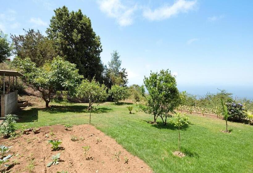 غرفة قياسية, House Vochozka