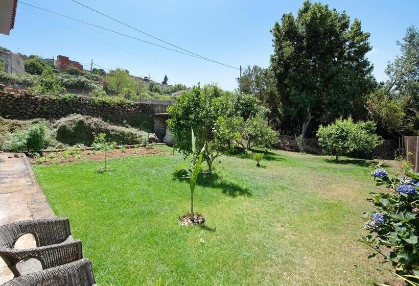 غرفة قياسية, House Vochozka