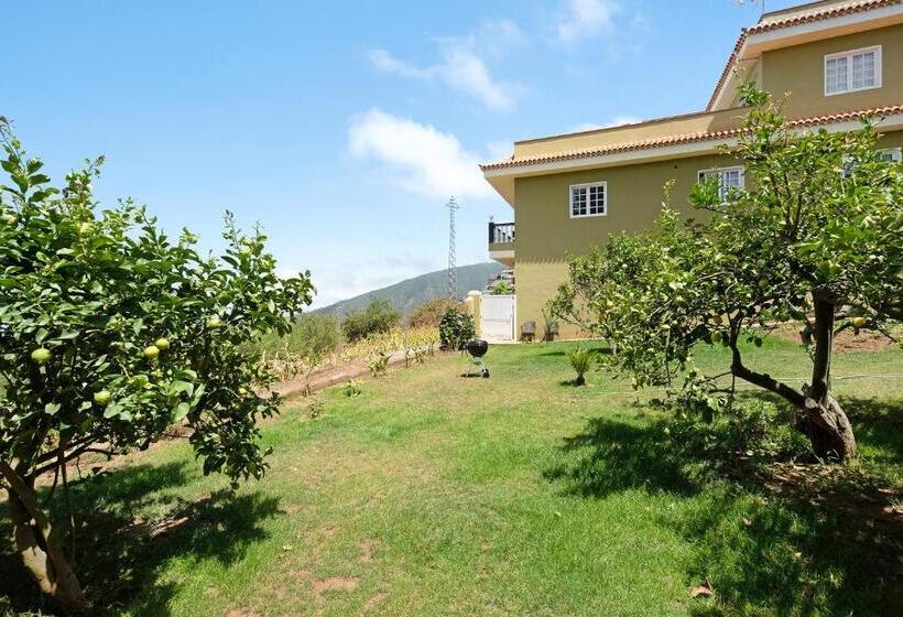 غرفة قياسية, House Vochozka