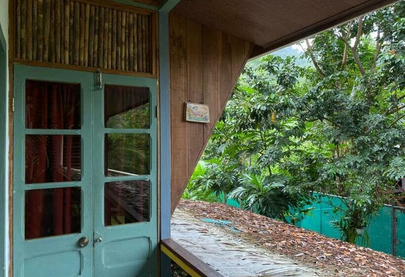 חדר סטנדרט עם מיטת קינג, Orgánico Punta Riel