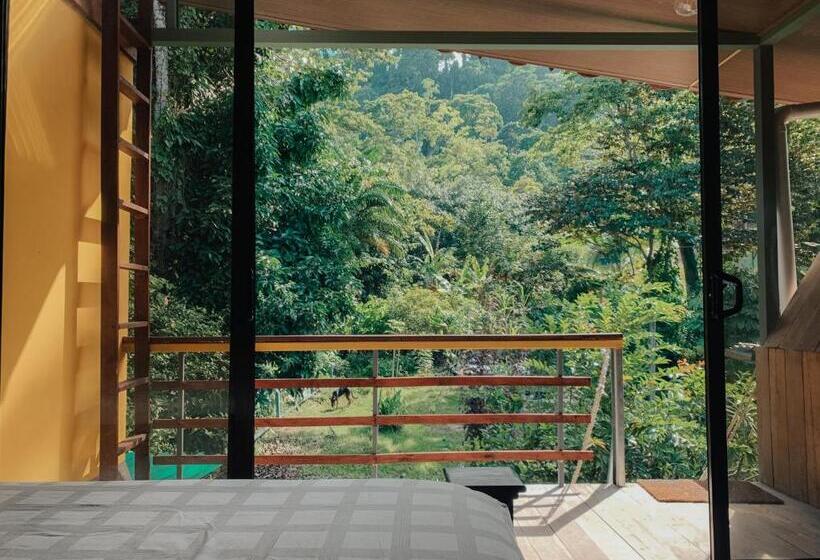 חדר סטנדרט עם מיטת קינג, Orgánico Punta Riel