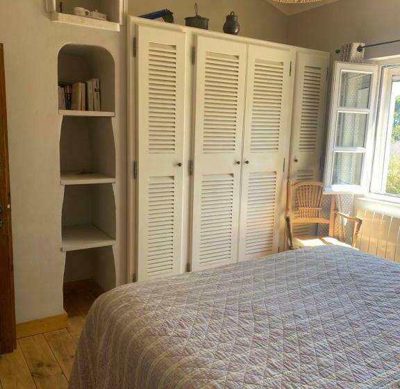 Номер Стандарт, La Paradoune 2