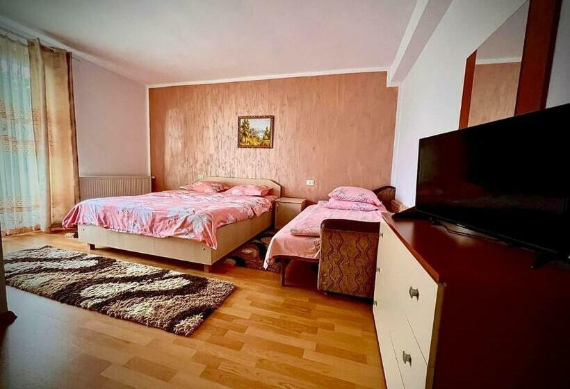 اتاق استاندارد سه نفره, Casa Viorica