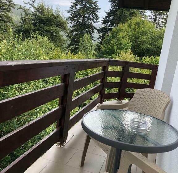 اتاق استاندارد, Casa Viorica