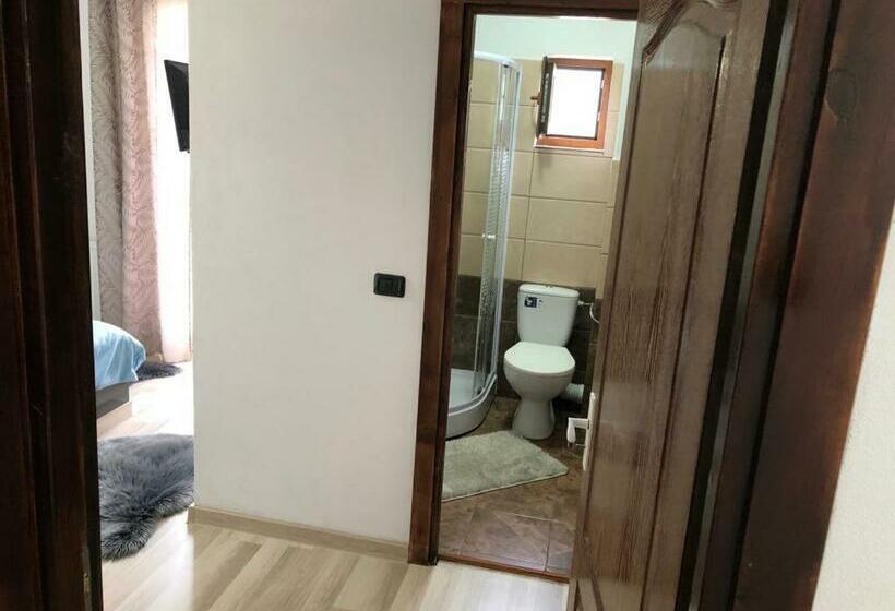 اتاق استاندارد, Casa Viorica