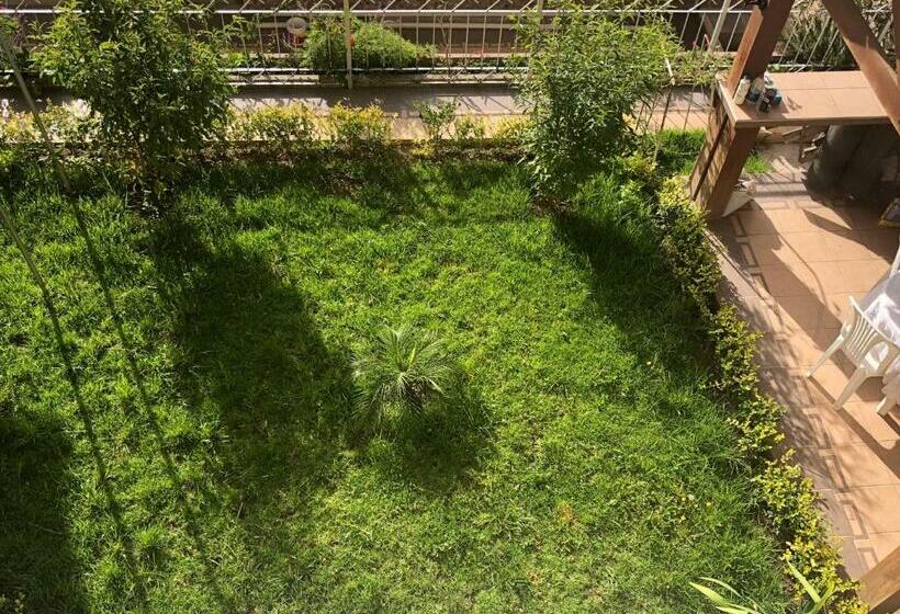 اتاق استاندارد, Belle Ville