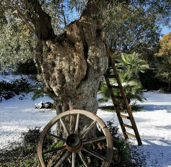패밀리 룸, Antico Palmento Dell Etna