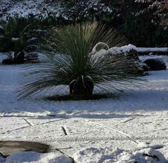 패밀리 룸, Antico Palmento Dell Etna