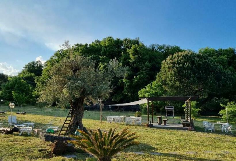 패밀리 룸, Antico Palmento Dell Etna