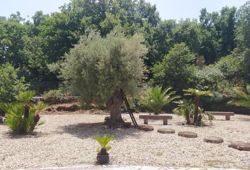 패밀리 룸, Antico Palmento Dell Etna