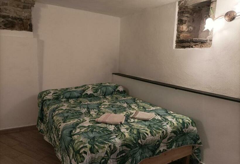 غرفة قياسية, Lotus Flower