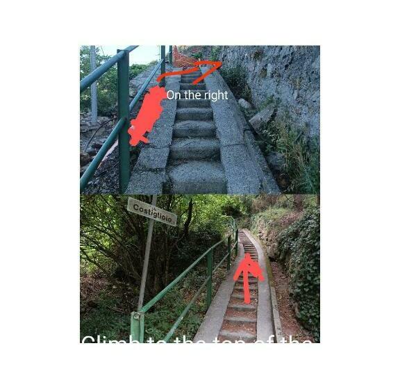 חדר סטנדרט, Lotus Flower