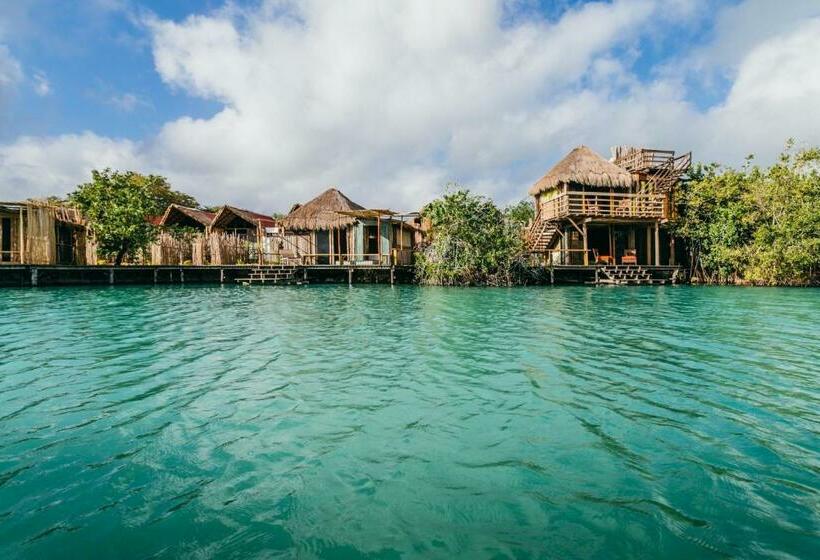 Büyük Çift Kişilik Yataklı Standart Oda, Embajada Universal By La Eufemia Group