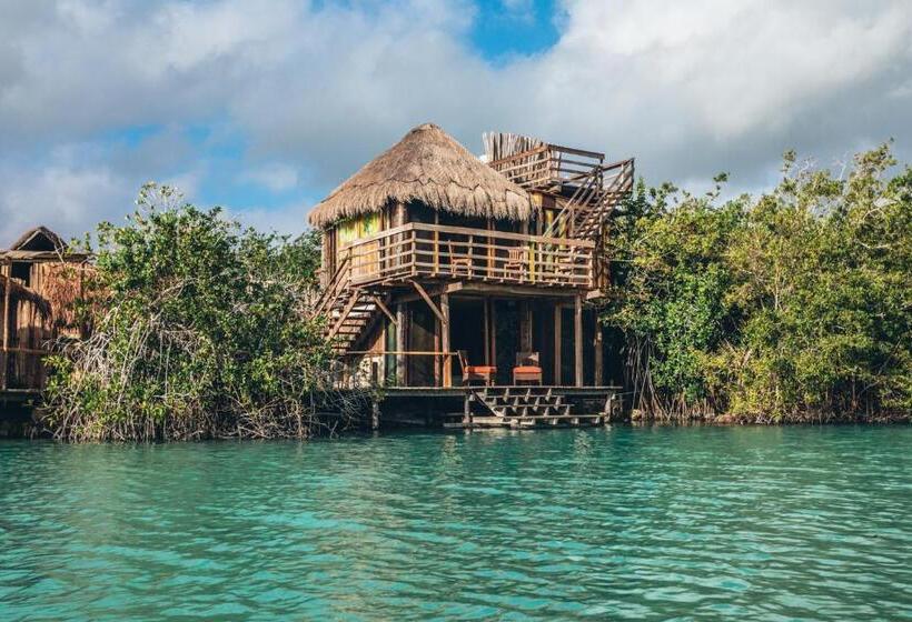 Aile Odası, Embajada Universal By La Eufemia Group