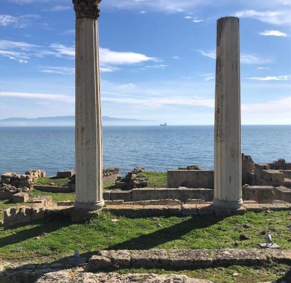 스탠다드 싱글 룸, Baboe Affittacamere Iun F1037