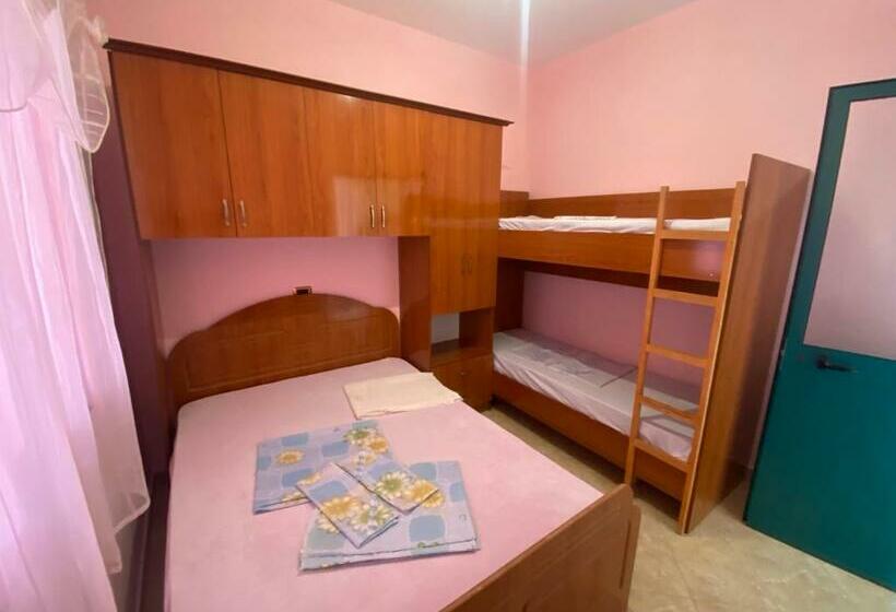 شقة غرفة واحدة, Drini