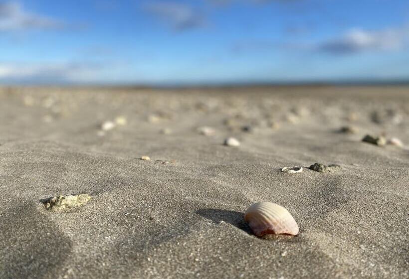 חדר דלוקס נוף לים, Villa Miramar Frontignan