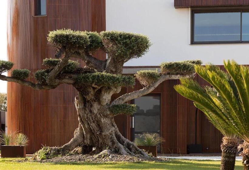 חדר סטנדרט עם מיטת קינג, Villa Miramar Frontignan