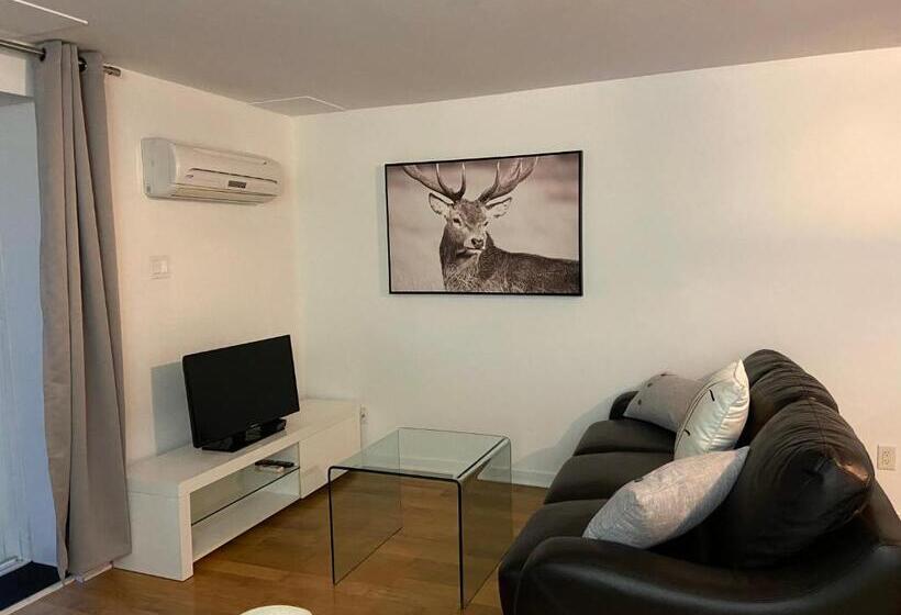 ファミリーステューディオ, Condo Hotel Au Pied Du Mont Orford