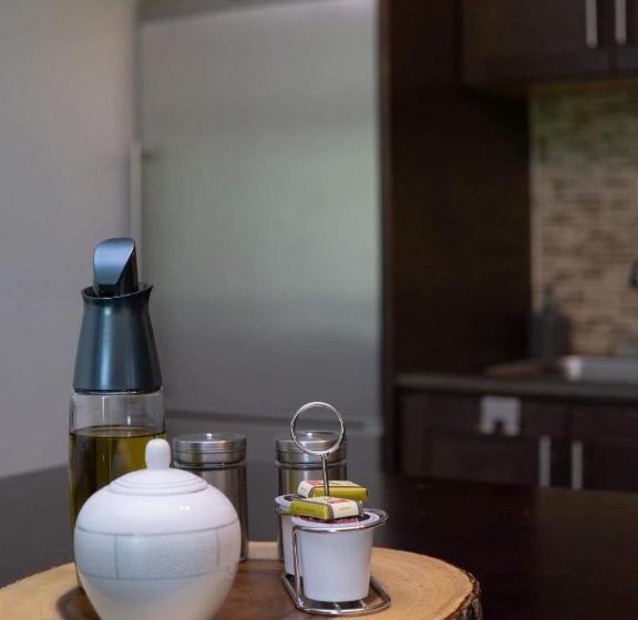 ファミリーステューディオ, Condo Hotel Au Pied Du Mont Orford