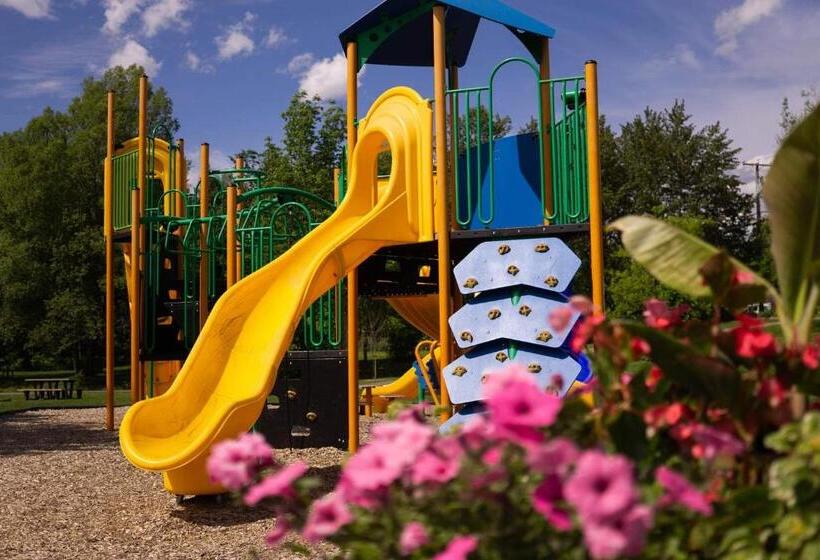 Студия Deluxe, Condo Hotel Au Pied Du Mont Orford