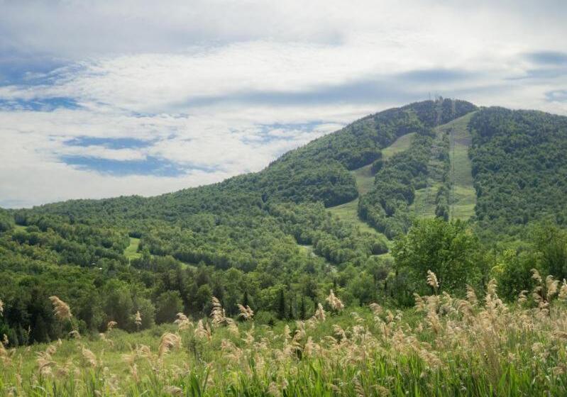 デラックススタジオ, Condo Hotel Au Pied Du Mont Orford