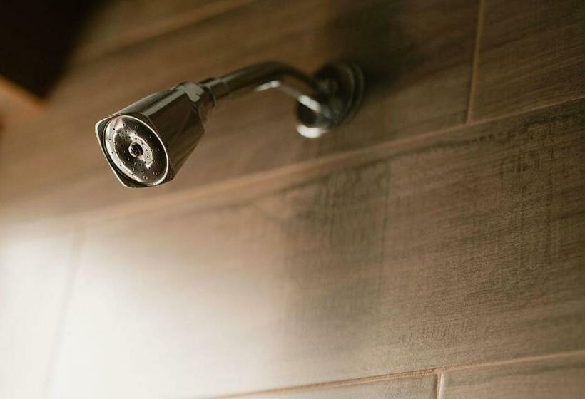 اتاق استاندارد با چشم‌انداز شهر, Fratelli