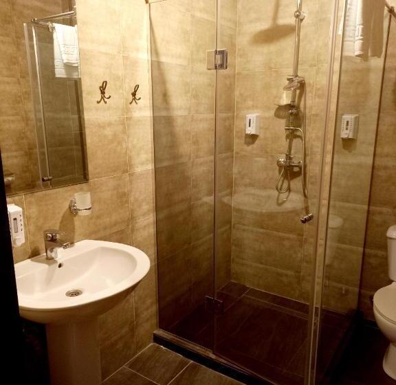 اتاق استاندارد, Holiday Borjomi