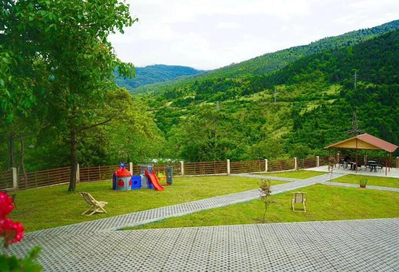 اتاق اکونومی, Holiday Borjomi