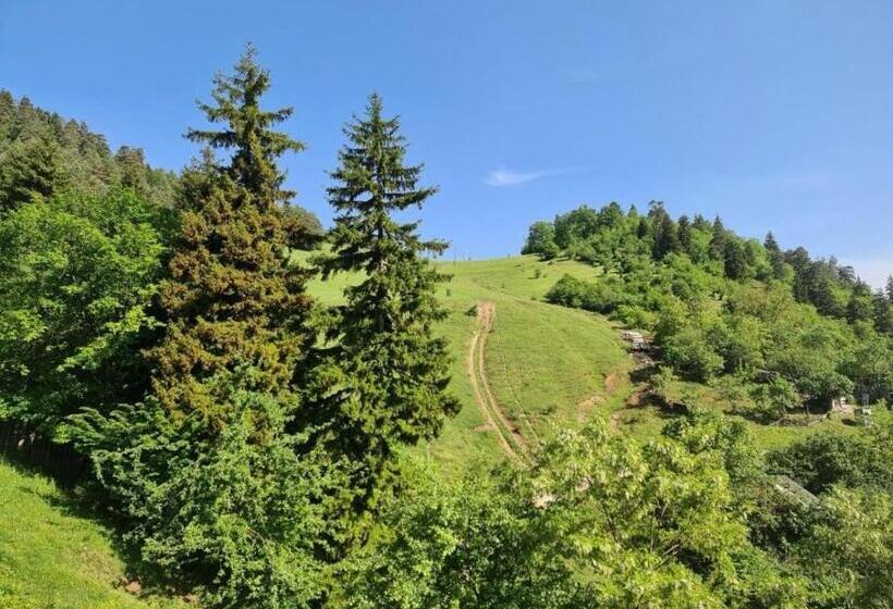 اتاق استاندارد با چشمانداز کوهستان, Holiday Borjomi