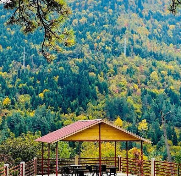 اتاق استاندارد سه نفره, Holiday Borjomi