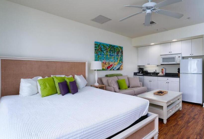 شقة غرفة واحدة, Harbour House At The Inn 316