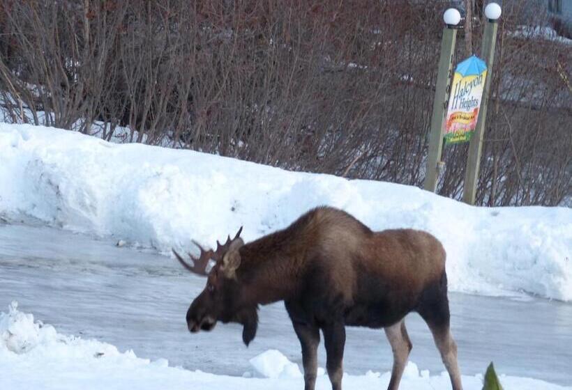 山景套房, Alaska Halcyon Heights Inn