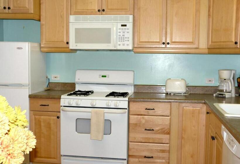 山景套房, Alaska Halcyon Heights Inn