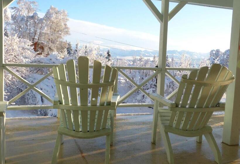 带大床的套房, Alaska Halcyon Heights Inn