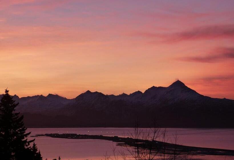 带大床的套房, Alaska Halcyon Heights Inn