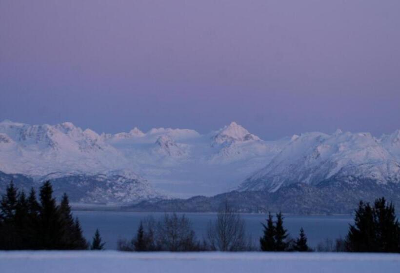 带大床的套房, Alaska Halcyon Heights Inn
