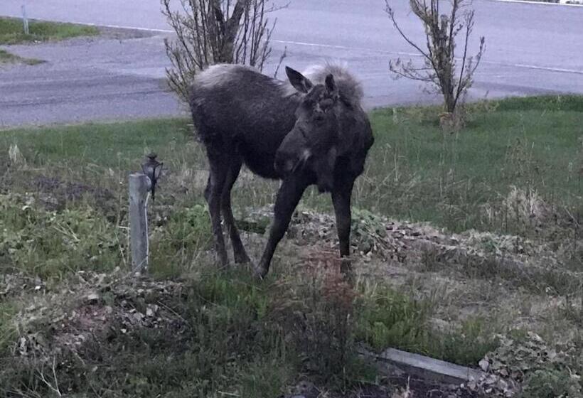Номер Стандарт Вид на Море, Alaska Halcyon Heights Inn