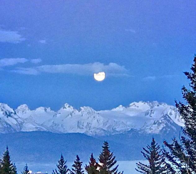 带大床的套房, Alaska Halcyon Heights Inn